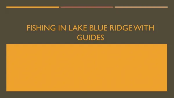 Fishing in Lake Blue Ridge with Guides