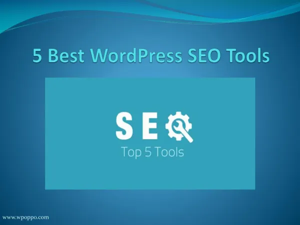 Discover some Best WordPress Tools To Optimize Your Website