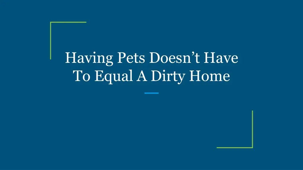 having pets doesn t have to equal a dirty home