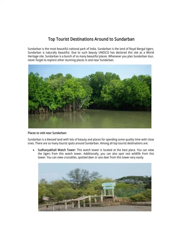 Top 10 Tourist Destination Around to Sundarban
