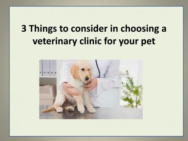 3 Things to consider in choosing a veterinary clinic for your pet