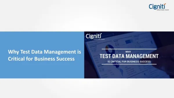 Why Test Data Management is Critical for Business Success