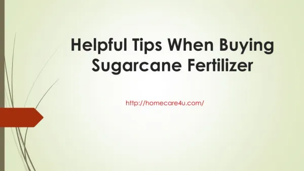 Helpful Tips When Buying Sugarcane Fertilizer
