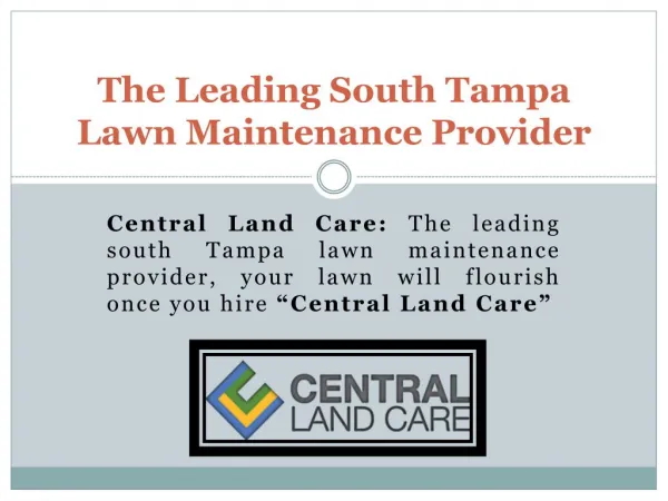 South Tampa Lawn Care-Maintenance| Lawn service Tampa