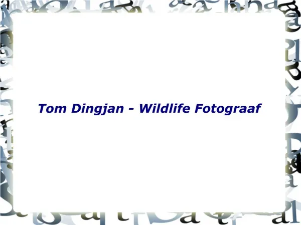 Tom Dingjan is een Enthousiaste Wildlife Fotograaf