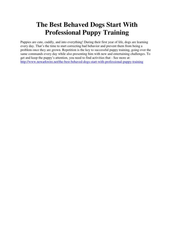 The Best Behaved Dogs Start With Professional Puppy Training