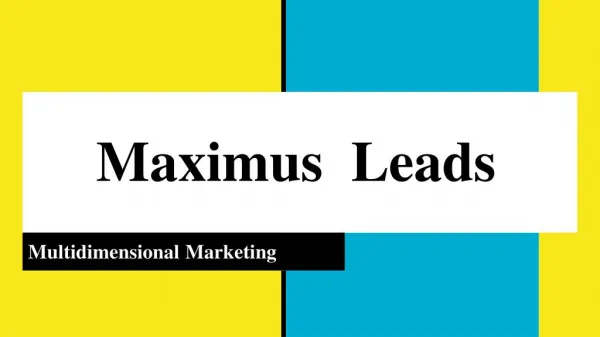 Digital Marketing Company in Pune | Maximus Leads