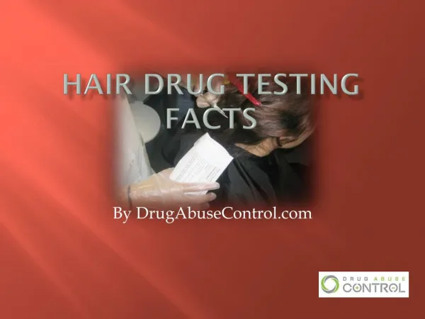 Hair Drug Testing Facts