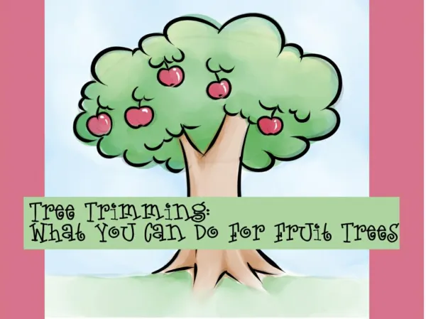 Tree Trimming-What You Can Do For Fruit Trees