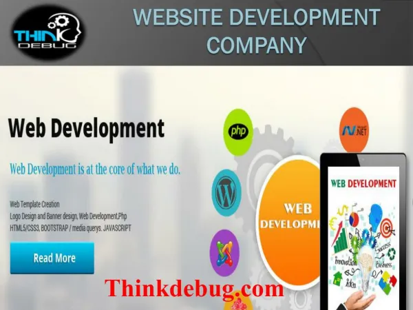 Thinkdebug is a multinational IT Software development company in indore.