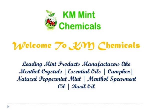 Menthol Crystals Manufacturers