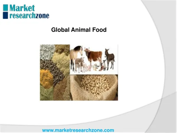 Global Animal Food