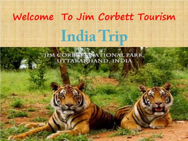 Jim corbett wildlife tour package