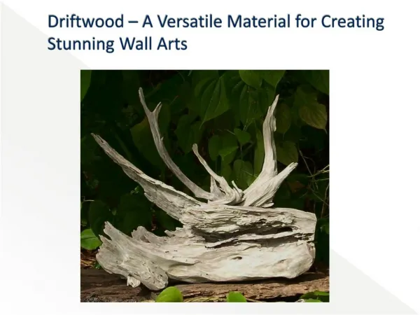 Driftwood Wall Art