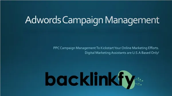 Adwords PPC Advertising & Campaign Management