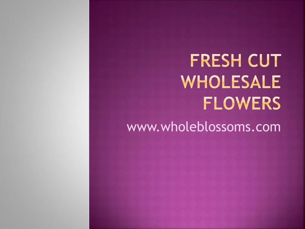 fresh cut wholesale flowers