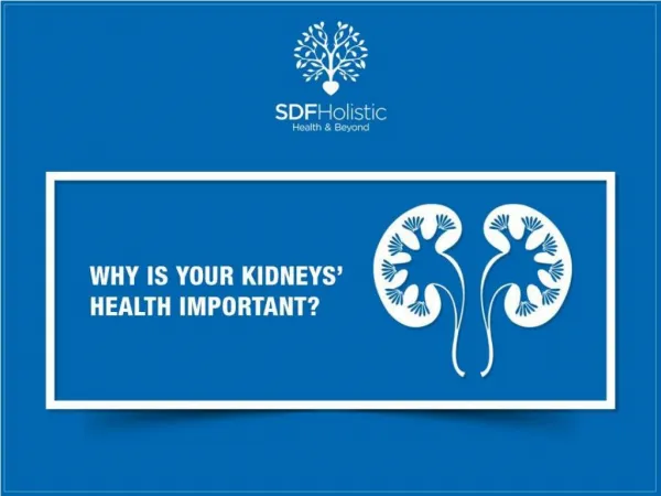 Why Your Kidney Health is Important?
