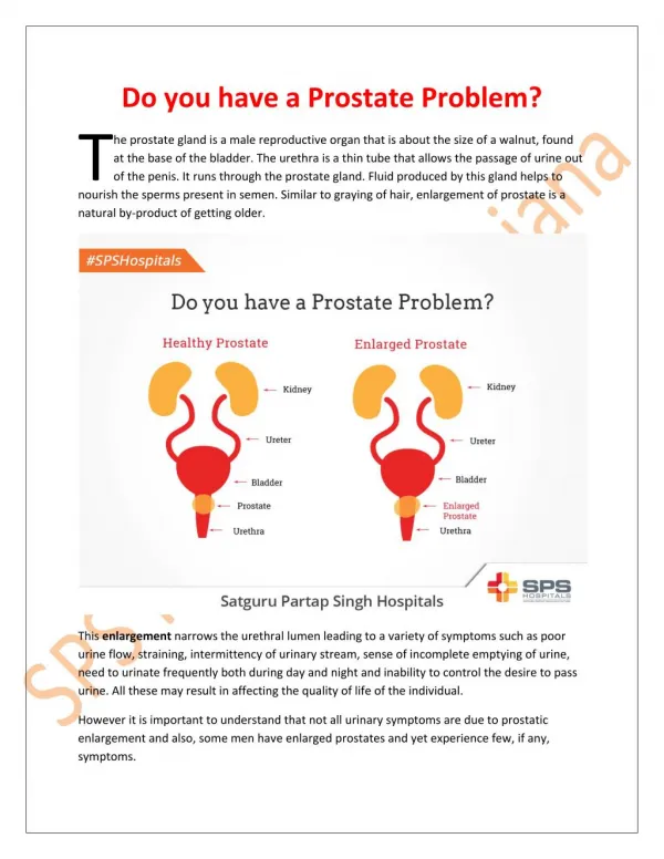 Do you have a Prostate Problem?