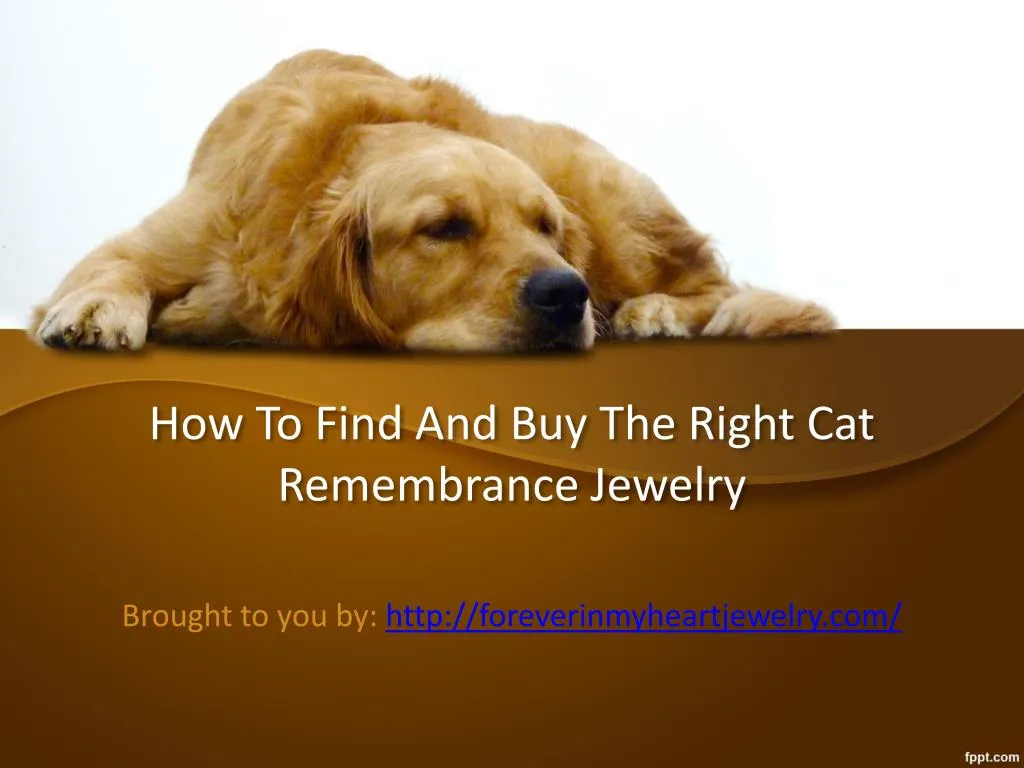 how to find and buy the right cat remembrance jewelry