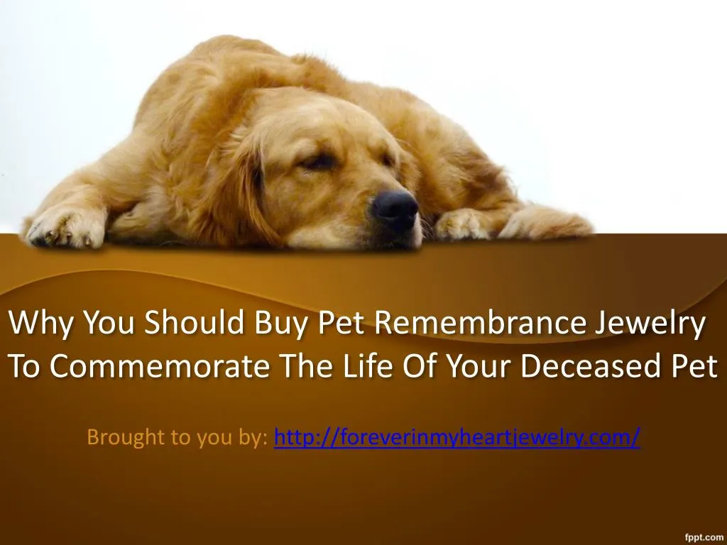 why you should buy pet remembrance jewelry to commemorate the life of your deceased pet