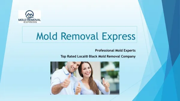 Detection and prevention of mold at affordable prices