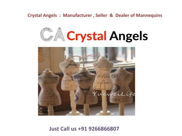 Crystal Angels- Manufacturer, Seller & dealer of Mannequins