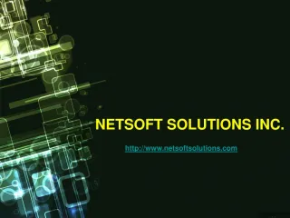 Netsoft Solutions Inc. - slide 1