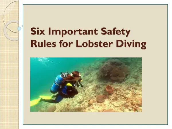 Six Important Safety Rules for Lobster Diving
