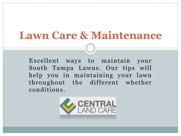 South tampa lawn care|Lawn service Tampa