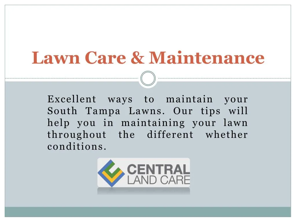 lawn care maintenance
