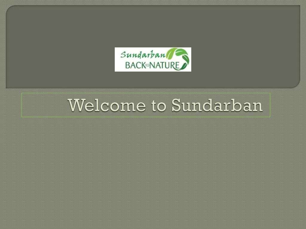 welcome to sundarban