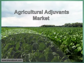 Agricultural Adjuvants Market - slide 1