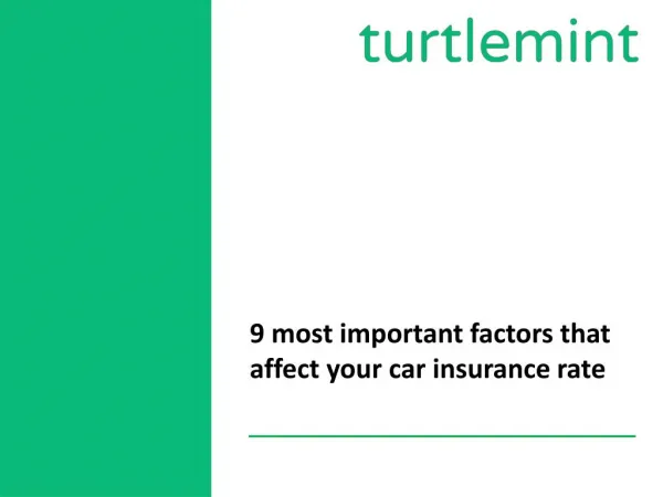 Turtlemint Car insurance