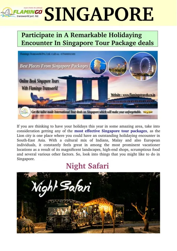 Participate in A Remarkable Holidaying Encounter In Singapore Tour Package deals