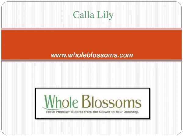 Bulk calla lilies - http://www.wholeblossoms.com/