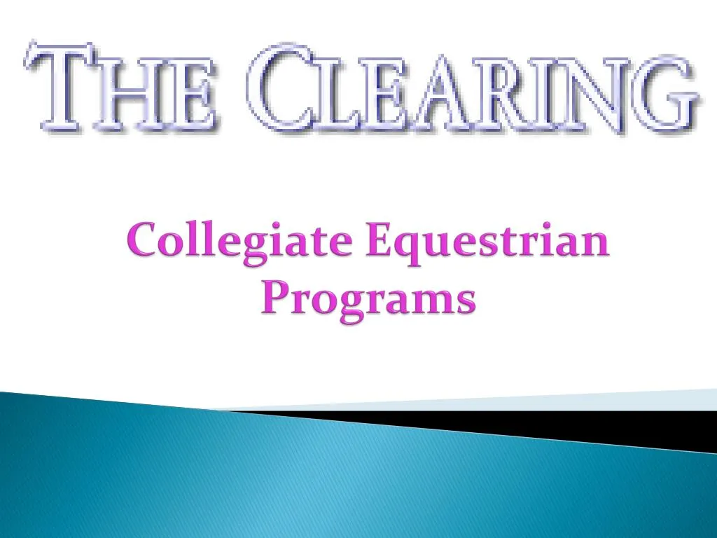 collegiate equestrian programs