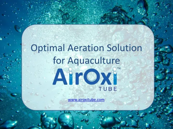 Optimal Aeration Solution for Aquaculture - AirOxi Tube