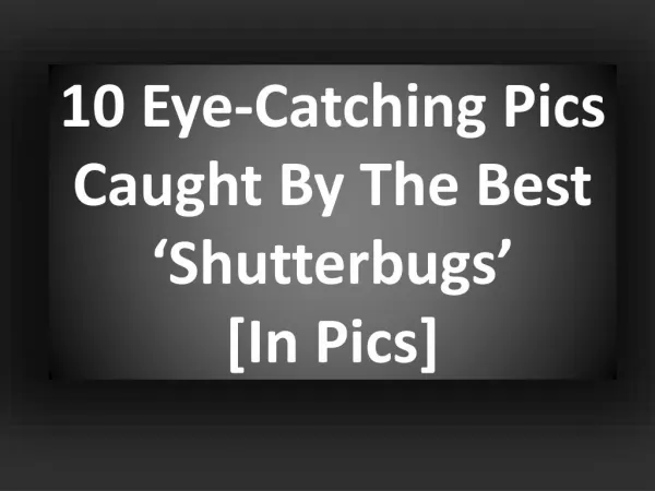 10 Eye-Catching Pics Caught By The Best ‘Shutterbugs’ [In Pics]