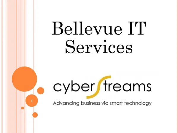 Best Bellevue IT services Company