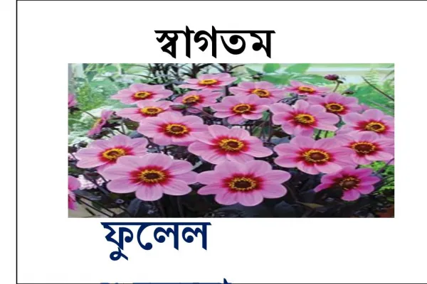 মানব রেচন নবম শ্রেণী জীব বিজ্ঞান