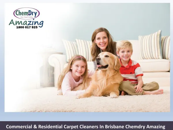 Commercial & Residential Carpet Cleaners In Brisbane Chemdry Amazing