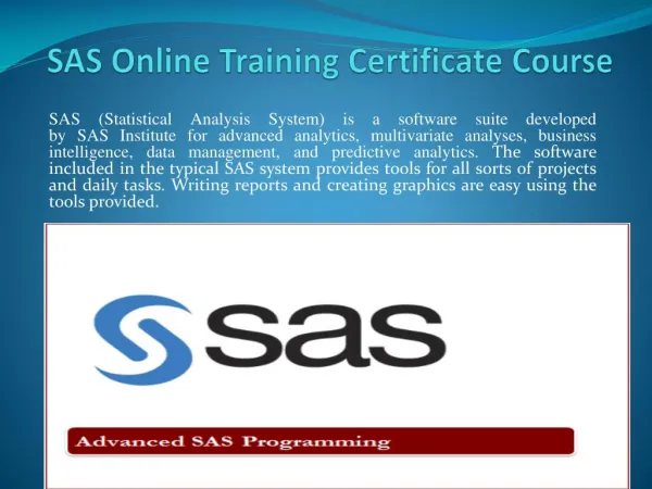 SAS Online Training Certificate Course