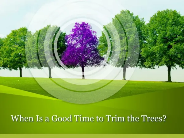 When Is a Good Time to Trim the Trees?
