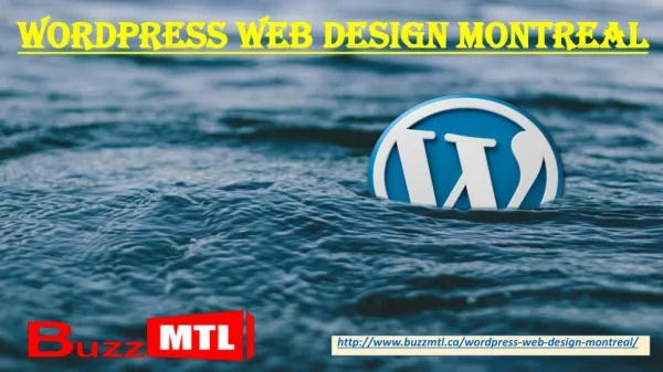 Wordpress Web Design Montreal