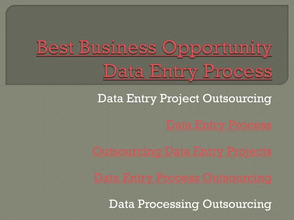 best business opportunity data entry process