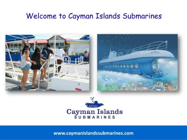 Exciting Underwater Tour Options in the Cayman Islands.