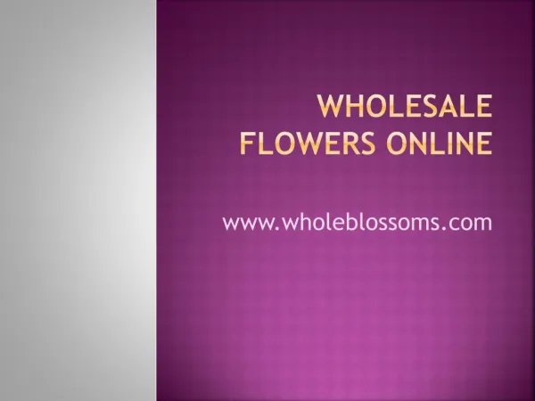 Wholesale Flowers Online - www.wholeblossoms.com