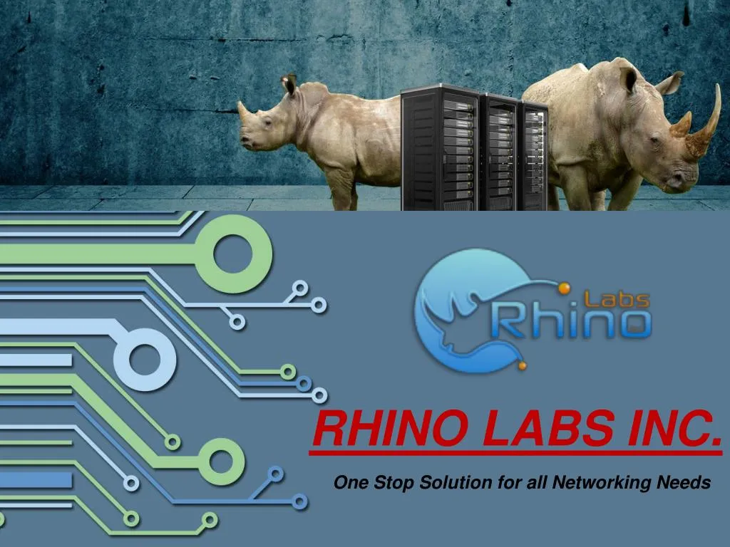 rhino labs inc