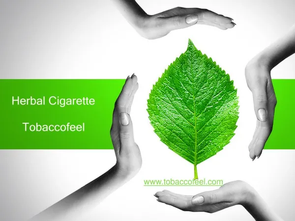 Buy herbal cigarettes brands in India