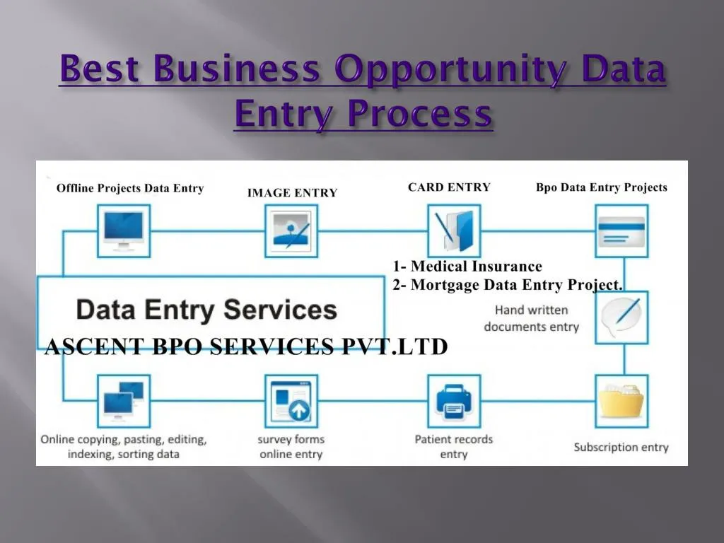 best business opportunity data entry process